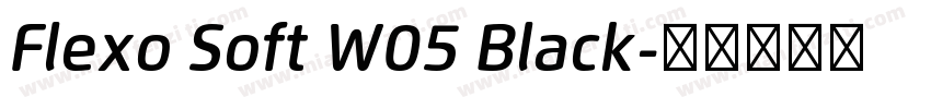 Flexo Soft W05 Black字体转换